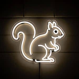 неоновый светильник БЕЛКА