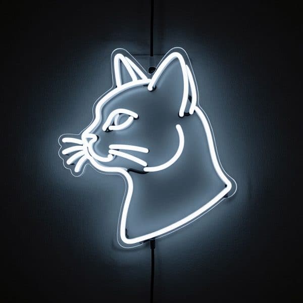 неоновый светильник КОШКА