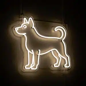 Неоновые вывески неоновый светильник СОБАКА